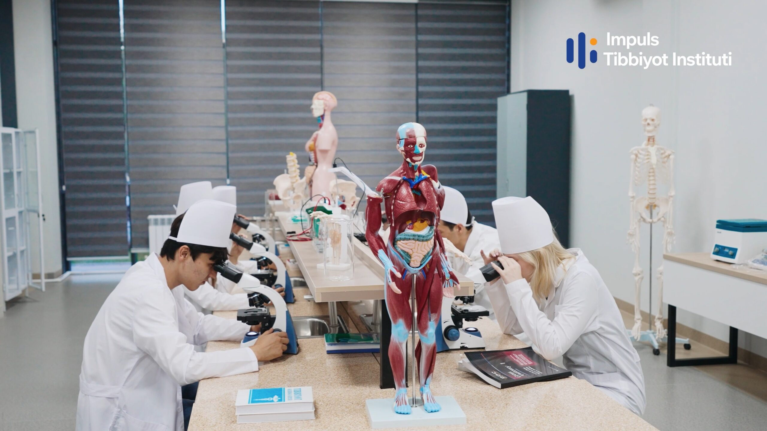 About fields of education